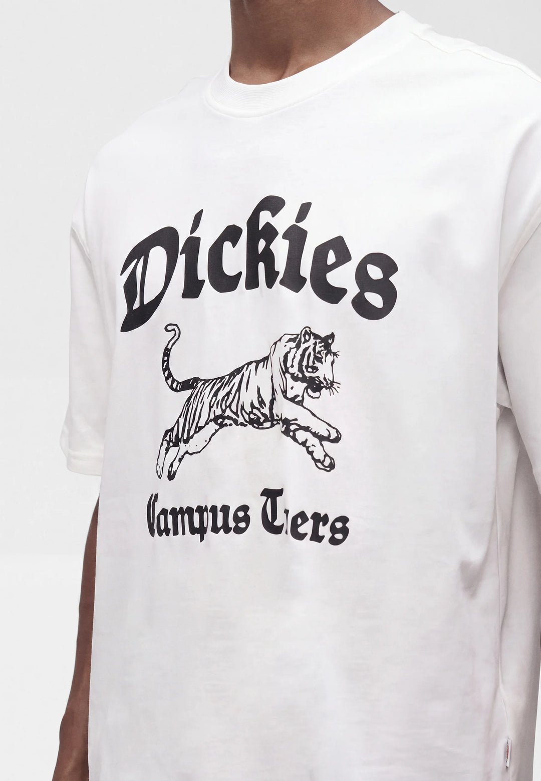 Dickies Apalachicolsa Midweight tee white
