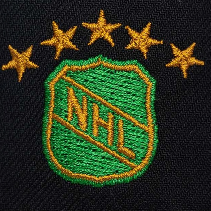 Mitchell &amp; Ness NHL Legendary Away Pro Snapback Vntg D Stars Black - Shop-Tetuan