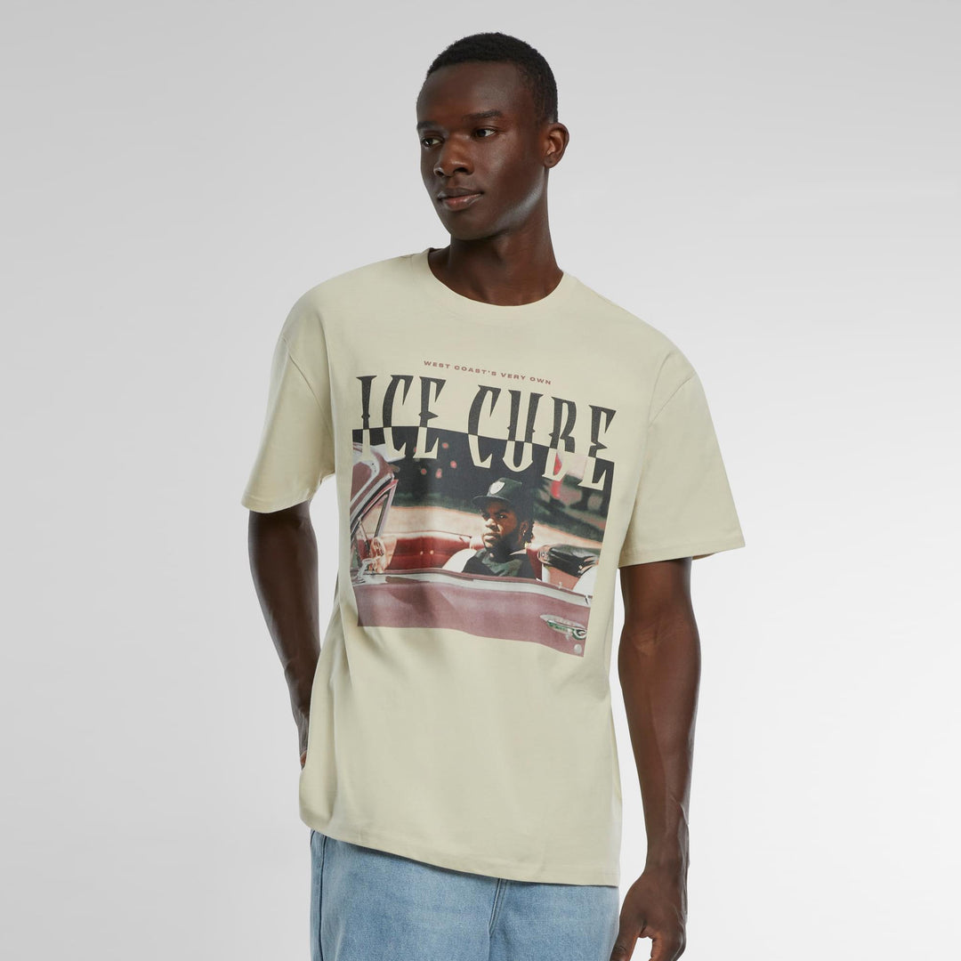 Mister Ice Cube It&