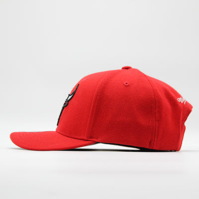 Mitchell & Ness NBA Team Ground 2.0 Stretch Snapback C Bulls red