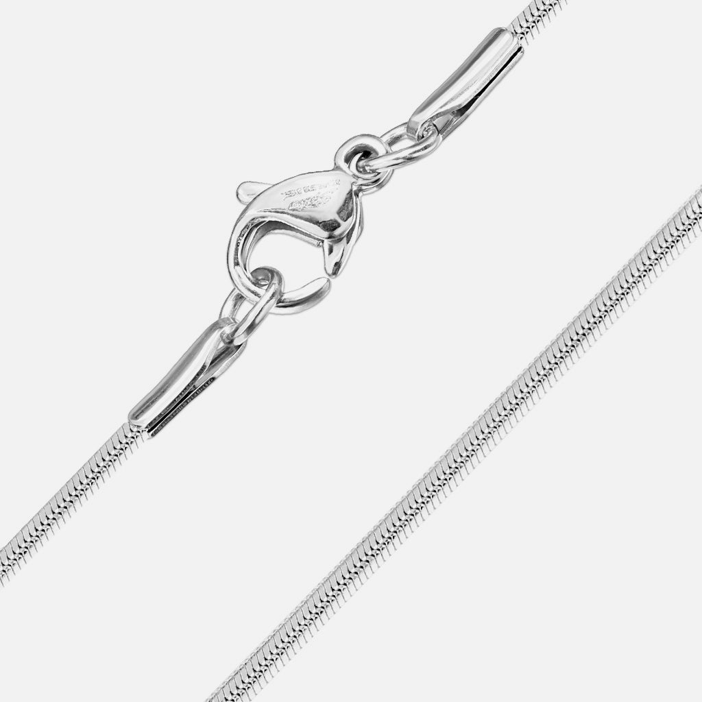 Flat Snake Chain Necklace with Lobster Clasp Stainless Steel - Shop-Tetuan