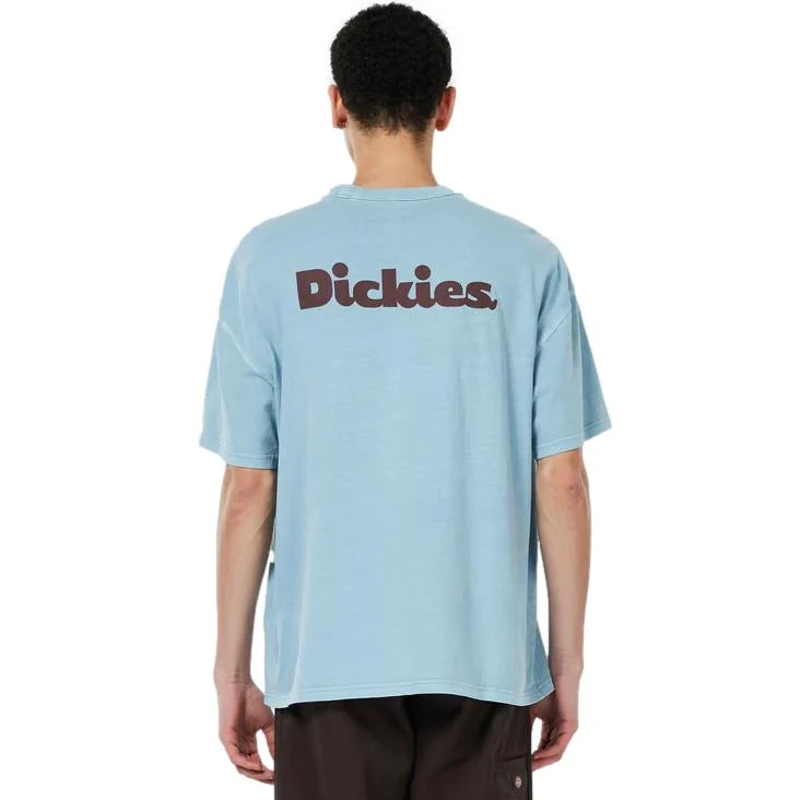 Dickies Slayden GD tee glacier lake - Shop-Tetuan