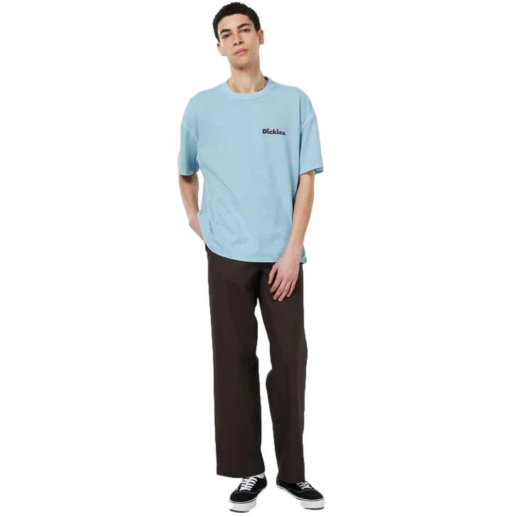 Dickies Slayden GD tee glacier lake - Shop-Tetuan