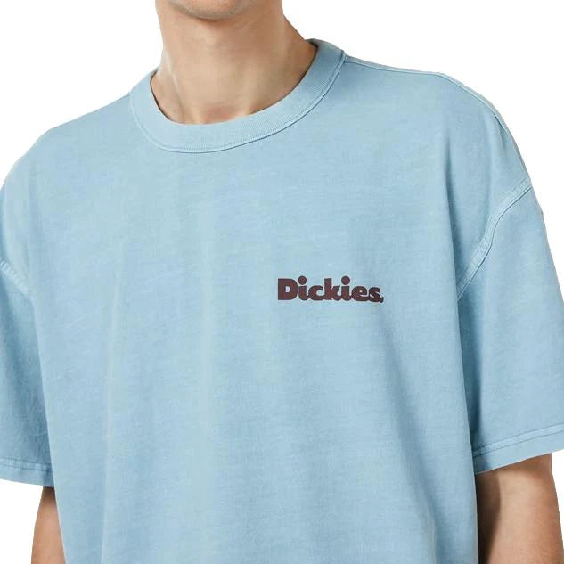 Dickies Slayden GD tee glacier lake - Shop-Tetuan