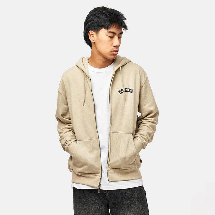 Dickies Bettsville zip pullover hoodie eucalyptus