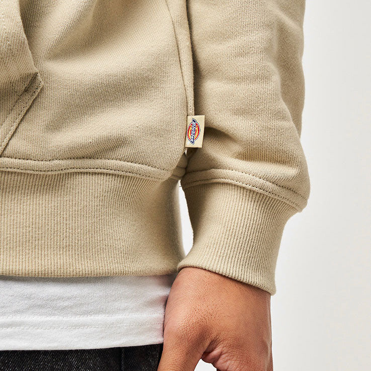 Dickies Bettsville zip pullover hoodie eucalyptus