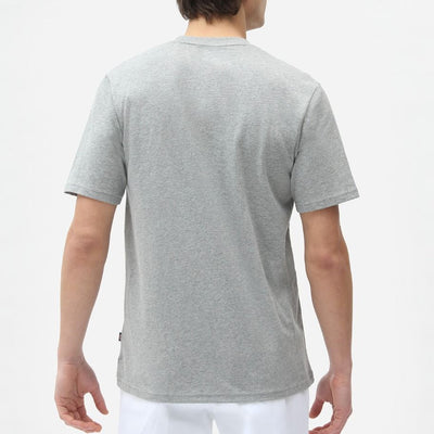 Dickies Icon Logo tee grey melange