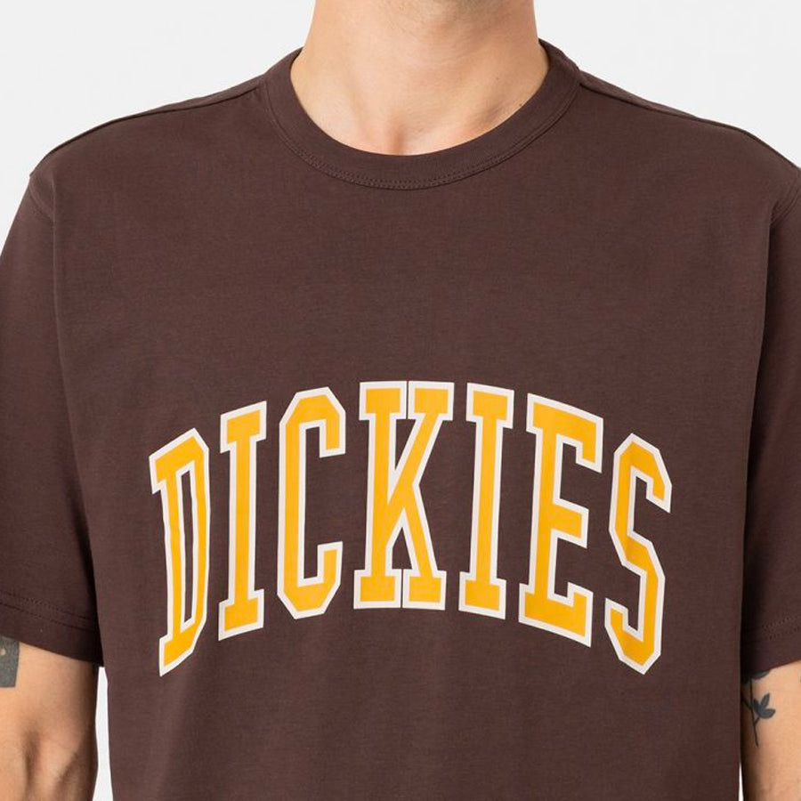 Dickies Aitkin Tee java - Shop-Tetuan