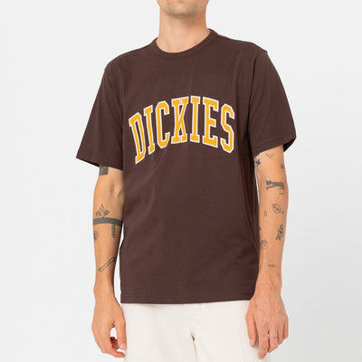 Dickies Aitkin Tee java - Shop-Tetuan