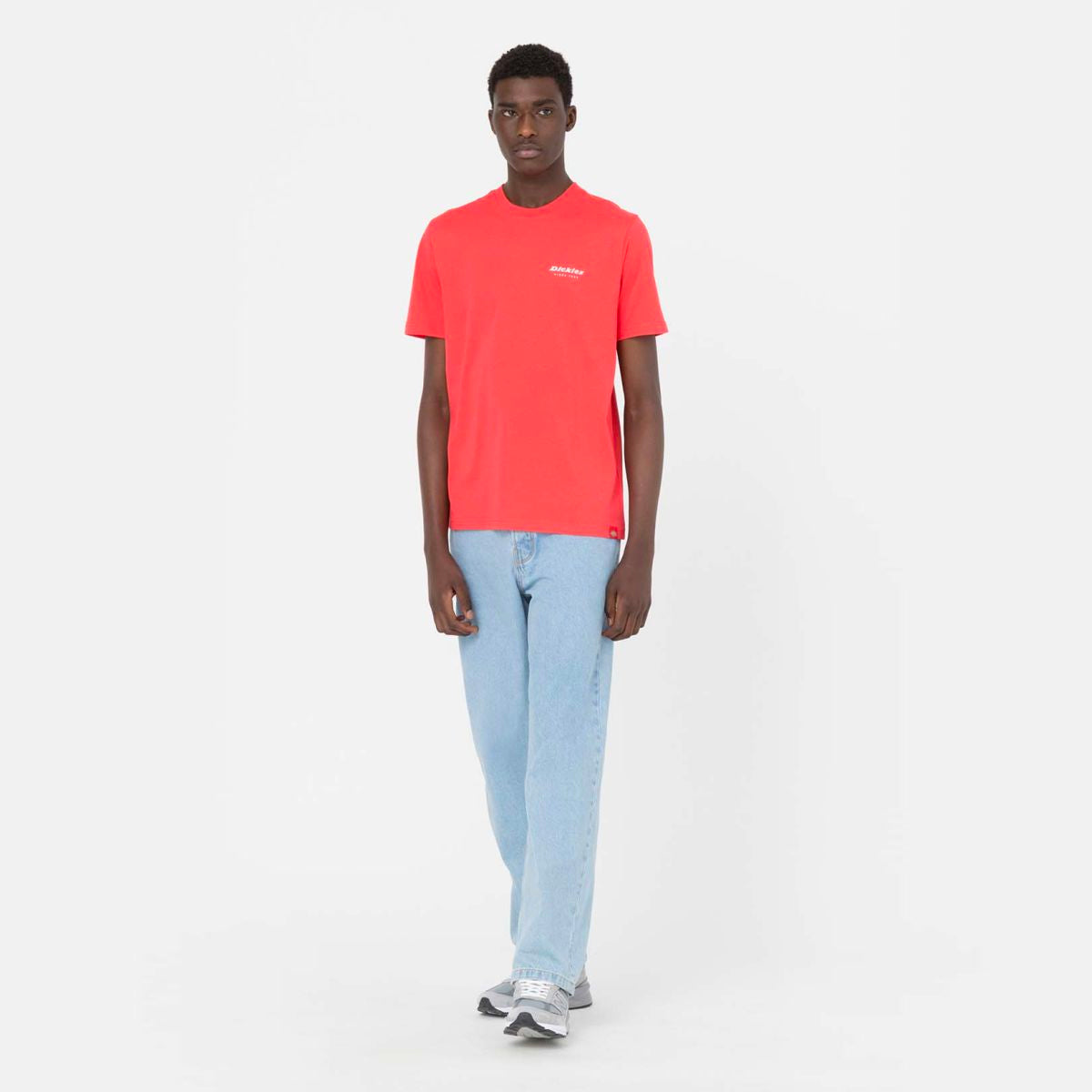 Dickies Leesburgh tee ss bittersweet - Shop-Tetuan