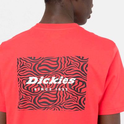 Dickies Leesburgh tee ss bittersweet - Shop-Tetuan