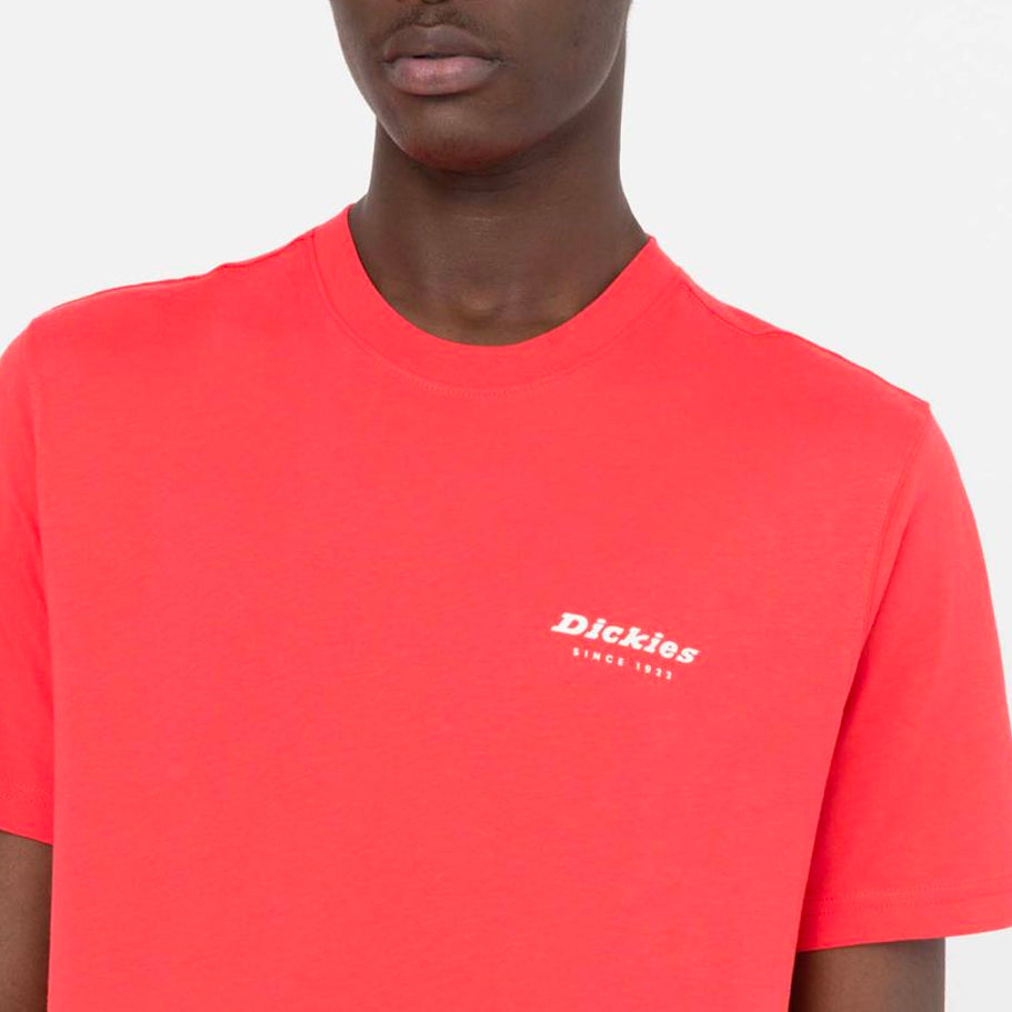 Dickies Leesburgh tee ss bittersweet - Shop-Tetuan