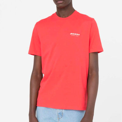Dickies Leesburgh tee ss bittersweet - Shop-Tetuan