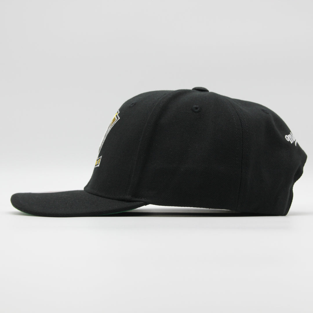 Mitchell &amp; Ness NHL Team Ground 2.0 Pro A Ducks black - Shop-Tetuan