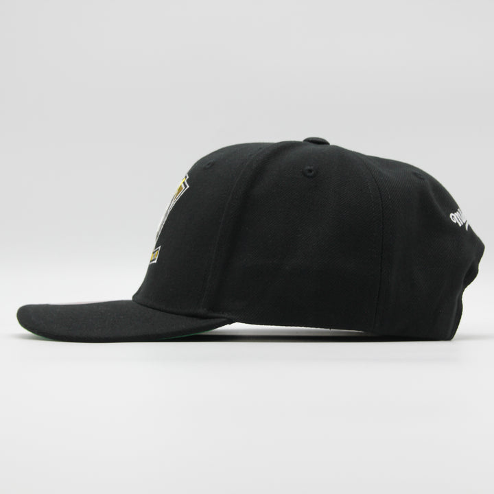 Mitchell &amp; Ness NHL Team Ground 2.0 Pro A Ducks black - Shop-Tetuan