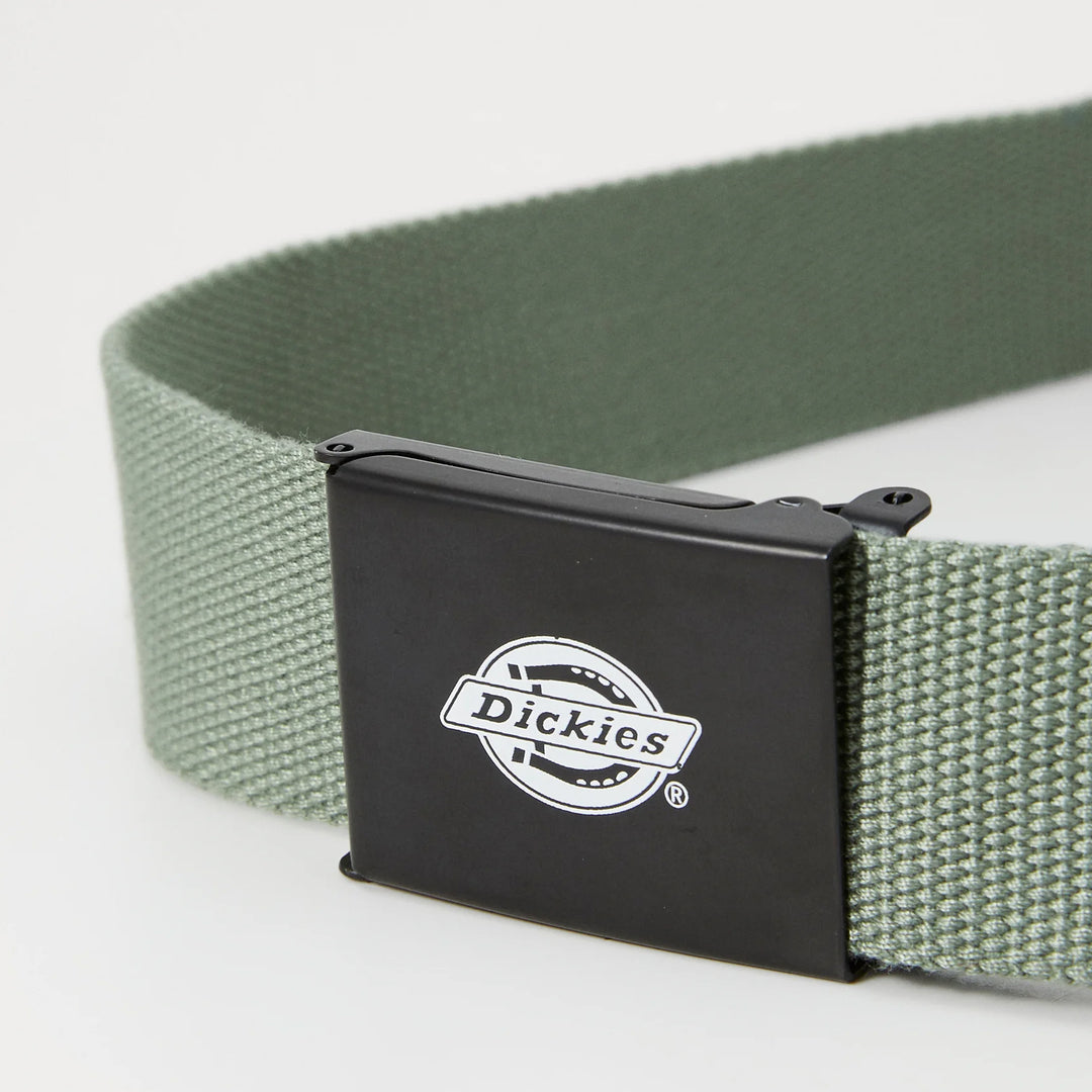 Dickies Orcutt belt sea spray - Shop-Tetuan