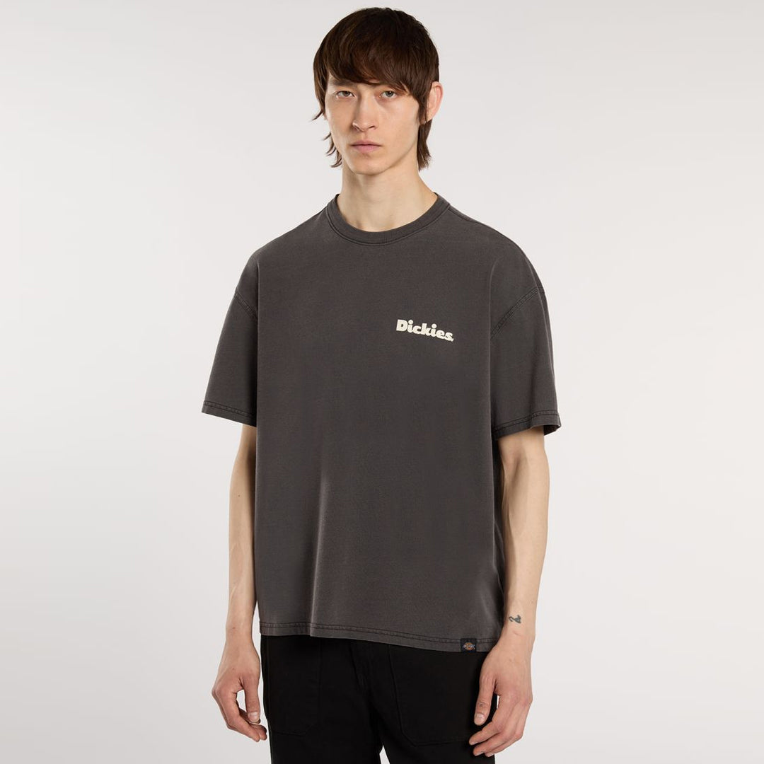 Dickies Slayden GD tee black - Shop-Tetuan