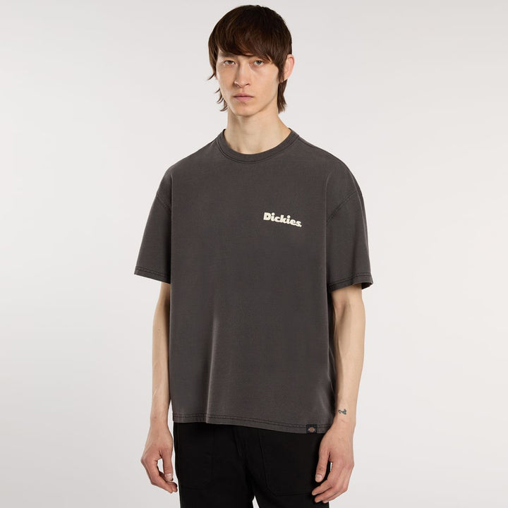 Dickies Slayden GD tee black - Shop-Tetuan