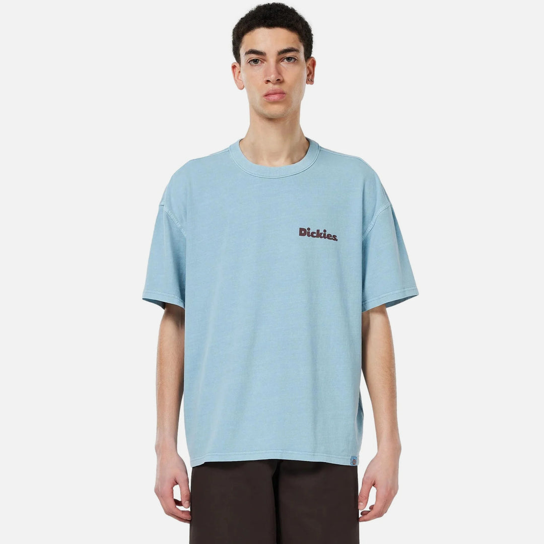 Dickies Slayden GD tee glacier lake - Shop-Tetuan