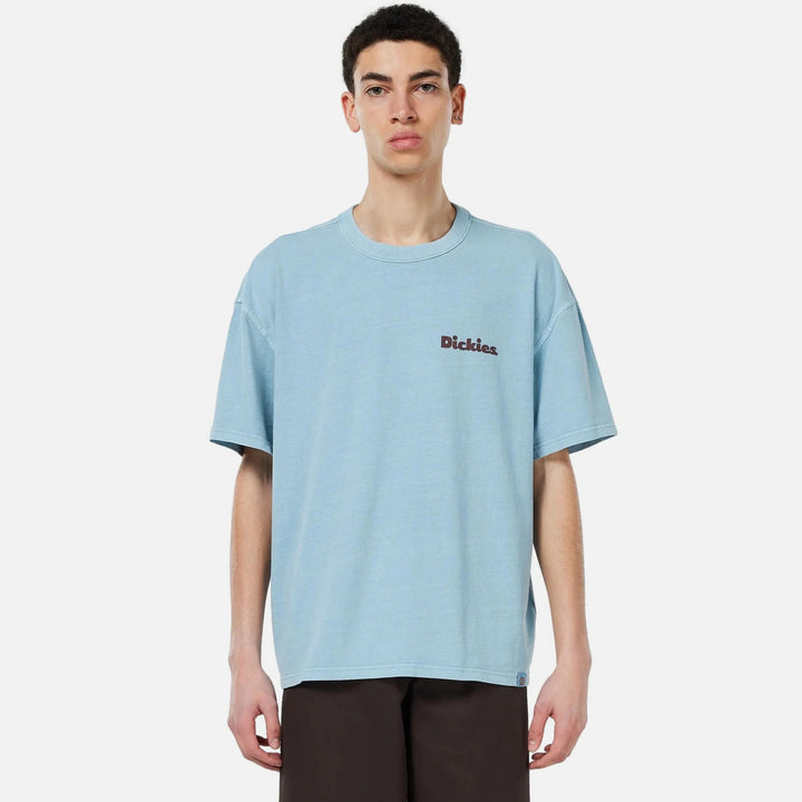 Dickies Slayden GD tee glacier lake - Shop-Tetuan