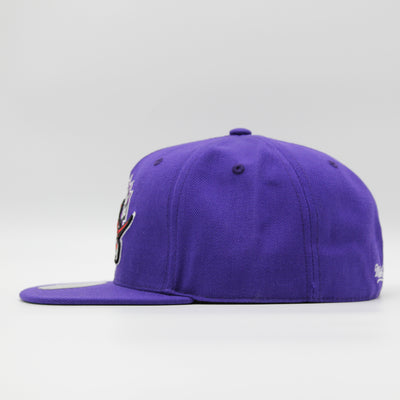 Mitchell & Ness Team Ground 2.0 fitted HWC T Raptors purple