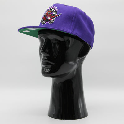 Mitchell & Ness Team Ground 2.0 fitted HWC T Raptors purple