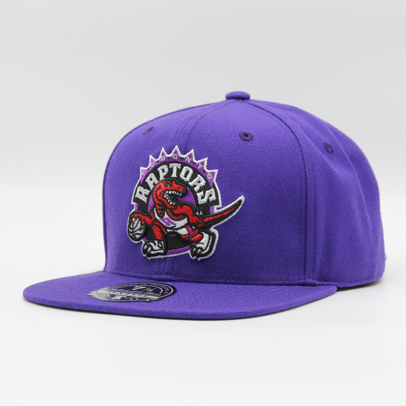 Mitchell & Ness Team Ground 2.0 fitted HWC T Raptors purple