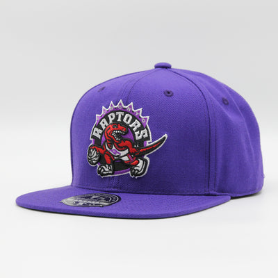 Mitchell & Ness Team Ground 2.0 fitted HWC T Raptors purple