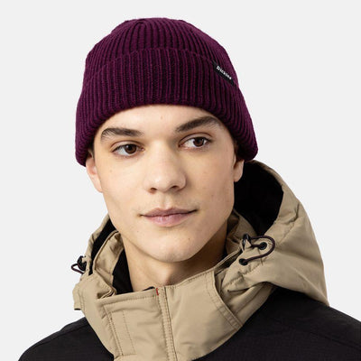 Dickies Woodworth beanie grape wine