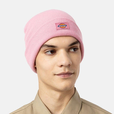Dickies Gibsland beanie foxglove