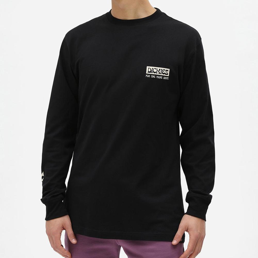 Dickies Willernie tee black