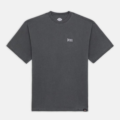 Dickies Bandon tee ss washed black