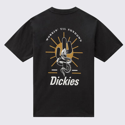 Dickies Bettles tee ss black - Shop-Tetuan