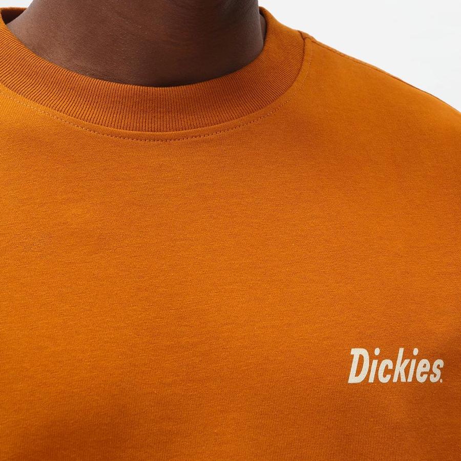 Dickies Bettles tee ls pumpkin spice - Shop-Tetuan