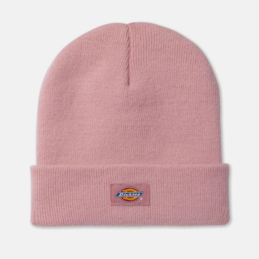 Dickies Gibsland beanie foxglove