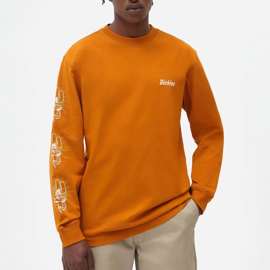 Dickies Bettles tee ls pumpkin spice - Shop-Tetuan