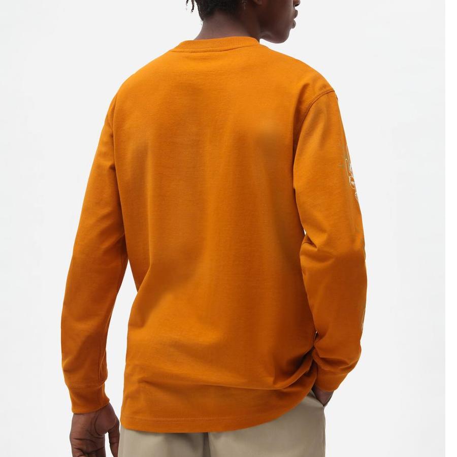 Dickies Bettles tee ls pumpkin spice - Shop-Tetuan