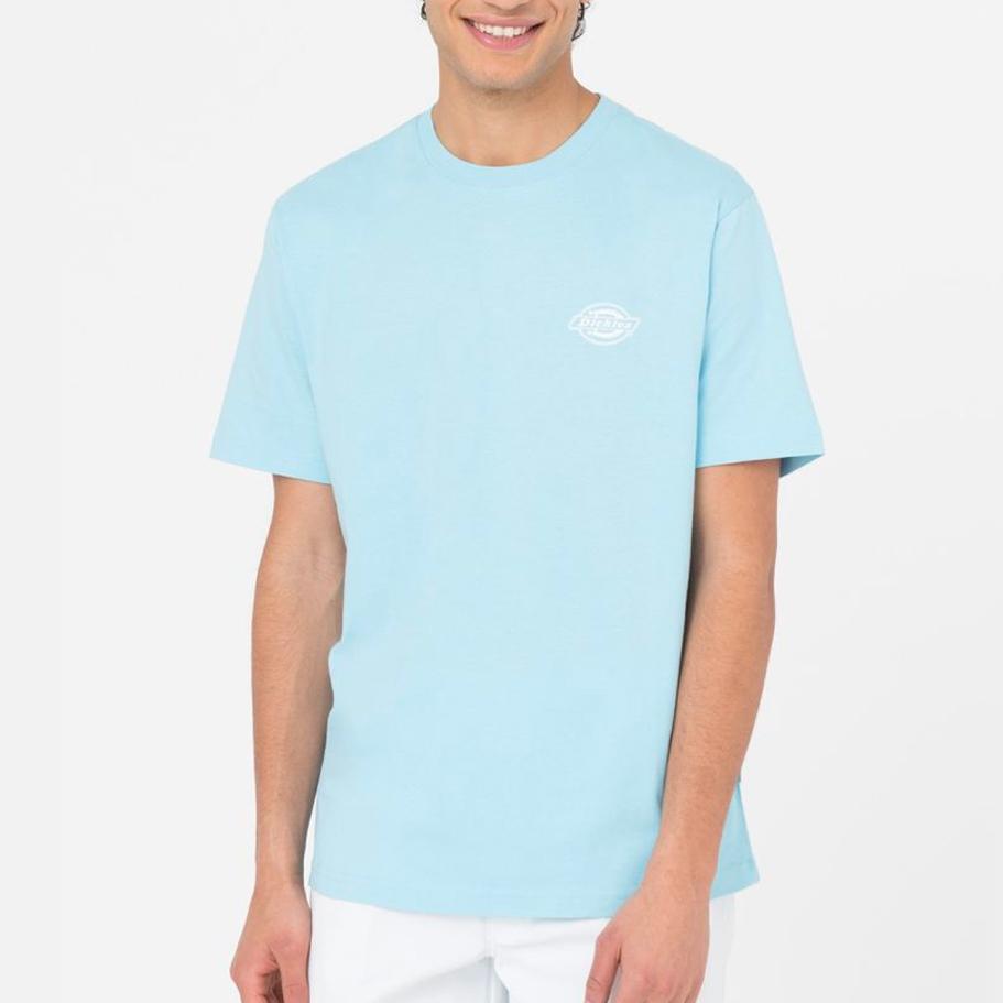 Dickies Holtville tee SS sky blue - Shop-Tetuan