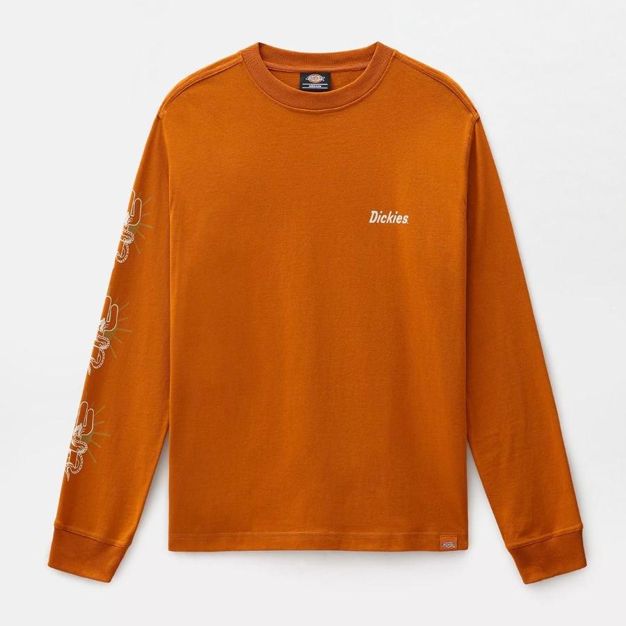 Dickies Bettles tee ls pumpkin spice - Shop-Tetuan