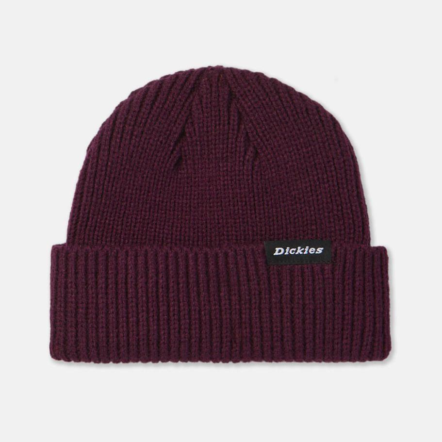 Dickies Woodworth beanie grape wine
