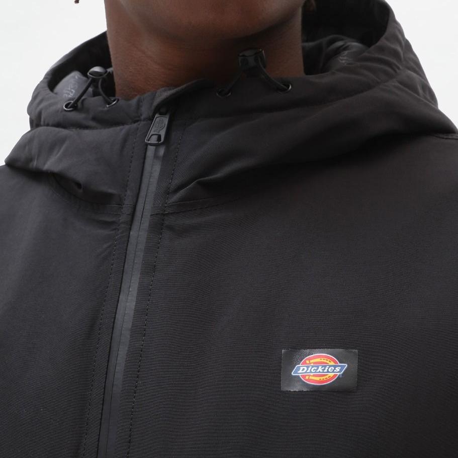Dickies New Sarpy jacket black - Shop-Tetuan