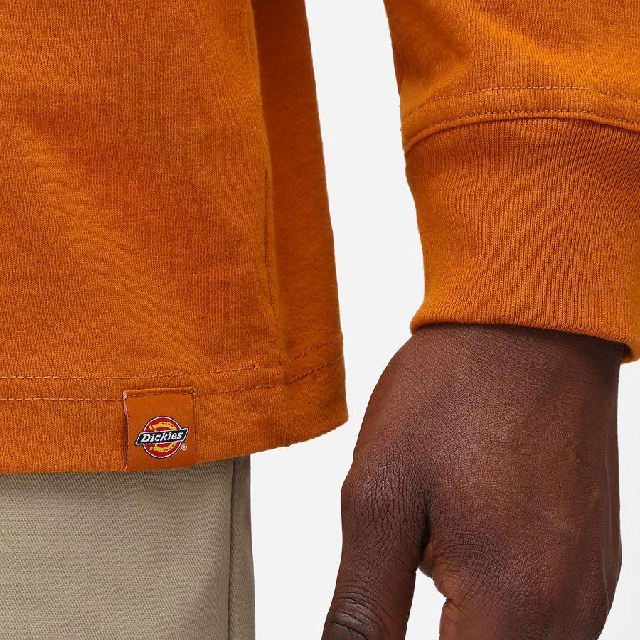 Dickies Bettles tee ls pumpkin spice - Shop-Tetuan