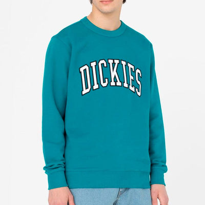 Dickies Aitkin sweatshirt deep lake - Shop-Tetuan