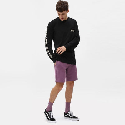Dickies Willernie tee black