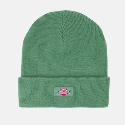 Dickies Gibsland beanie dark ivy