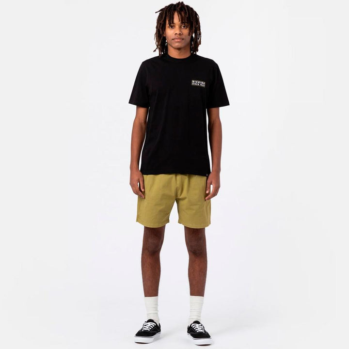 Dickies Pelican Rapids shorts green moss - Shop-Tetuan